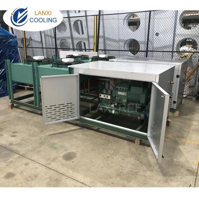 China Low Temperature V type Air Cooled Condenser Unit for Cold Room Refrigeration unit with Bitzer compressor for sale