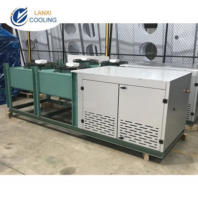 China V Type Air Cooled Condensing Unit Bitzer Compressor Freezer   Refrigeration Unit Energy-Saving Cold Room for sale