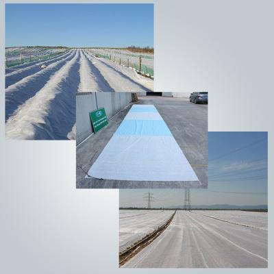 China Air Permeable PP Non Woven Fabric For Frost Protection Blanket Crop Cover for sale