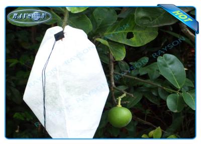 China Nonwoven Agiculture Plant Grow Bags For Fruit Growth and Protection , Potato Grow Bags for sale