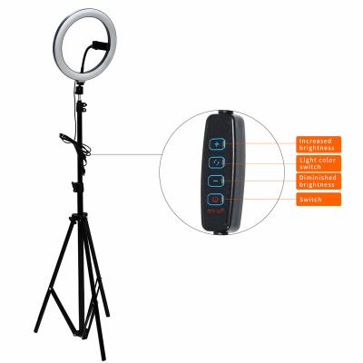 China 10 Inch Mini 6 Photography Video Makeup 360 Light Phone Inch Photographic Selfie Beauty LED Fill Light with Stand Ring Light Tripod for sale