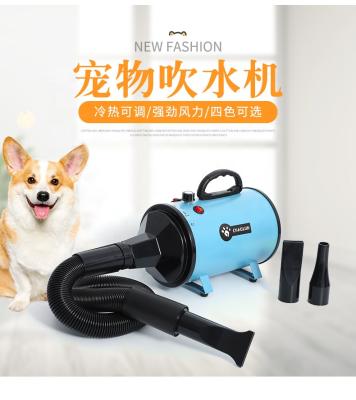 China Hot Sale 2022 Fan Stocked High Power Silent Stepless Speed ​​Dog Cat Regulating Pet Dryer for sale