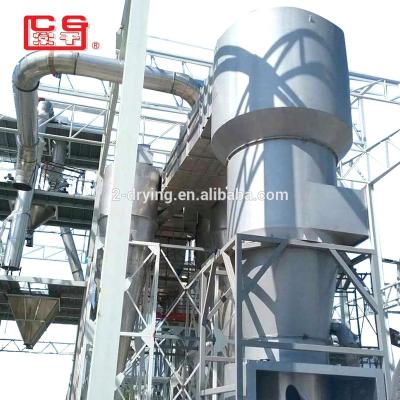 China Medicine Curing Hot Sale XSG-12 Instant Flash Dryer Dye Spin Dryer For Black Iron Oxide à venda