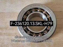 F-236120 F-236120.13.SKL-H79 BMW differential bearing special angular contact ball bearing 30.162*64