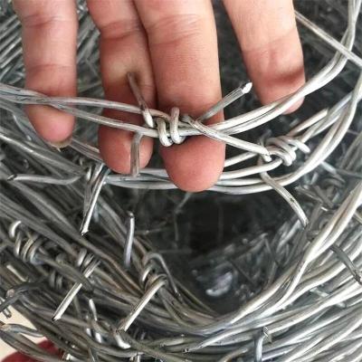 China Building And So On Double Wires Twist Hot Zinc Plating 500M Roll Galvanized Barbed Wire for sale