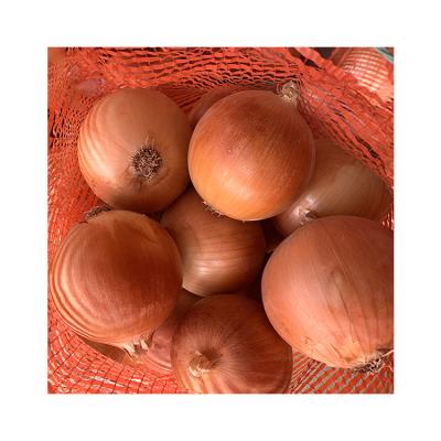 China 2021 New Season Sale Red Onions China Supplier Fresh Farm Planting Fresh Onions for sale