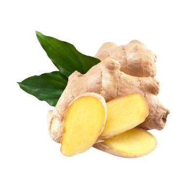 China Normal/100g+/150g+/200g+ 2021 New Season Ginger Price Per Ton Bulk Farm Planting Fresh Ginger for sale