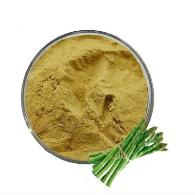 China Green Asparagus Powder Low Price Dry Vegetable High Quality Dehydrated Asparagus Powder For Wholesale for sale