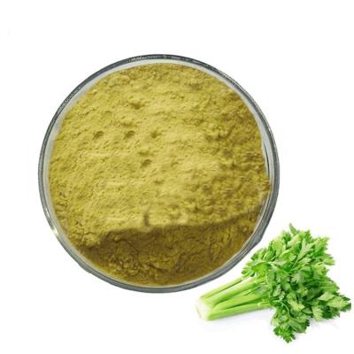 China Dry natural dehydrated celery powder AD air dried vegetable powder with cheap price for sale