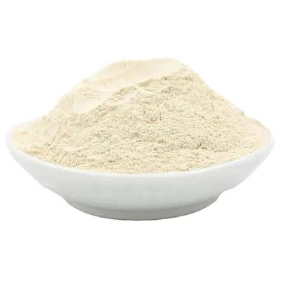 China Bulk wholesale AD dehydrated garlic powder air dried garlic powder export to America Europe for sale