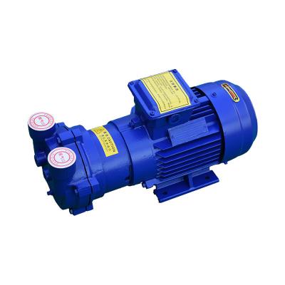 Китай 2BV Buildings Series Commercial High Vacuum Water Circulating Vacuum Pump Compressor Water Ring Industrial Vacuum Pump 2BV2061 продается