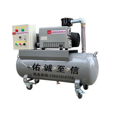 Cina Hot-selling Automotive Industry Exclusive Single-Stage Rotary Vane Vacuum Pump Set Food Packaging Vacuum Equipment in vendita