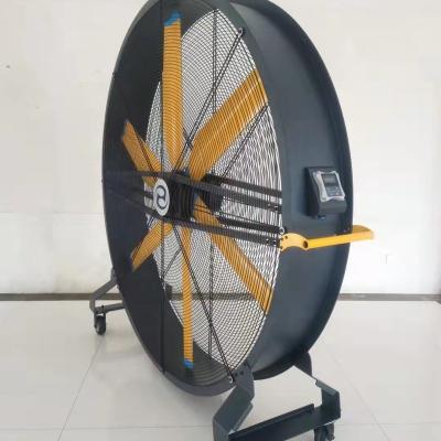 China Large Diameter Hotels 1m 2m Tall Mounting Fan With Indoor And Outdoor Casters for sale