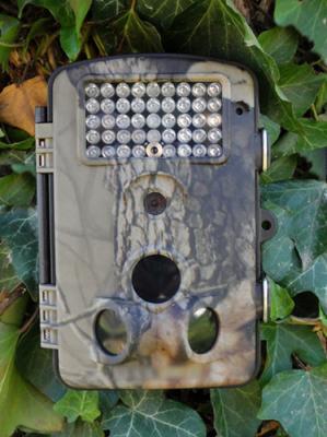 China 5 / 8 / 12 MP IR Wildview Wireless Hunting Cameras IP 54 Waterproof For Outdoor Surveillance for sale