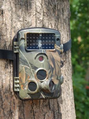 China Motion-triggered Infrared Trail Camera IR Night Vision with 2.5 inch for sale