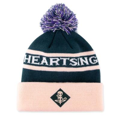 China 2022 new fashion COMMON hot custom embroidery pom pom knitted flip beanie hat for sale