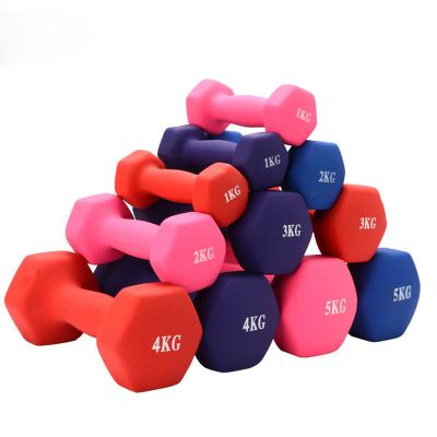 China Real Fashion Eco-friendly Matte Hex Dumbbells Fitness Colorful Dumbbell For Gym for sale