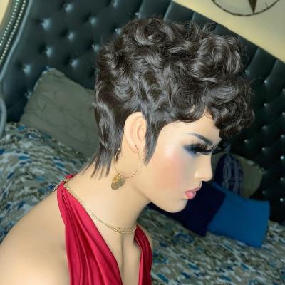 China Wholesale Pixie Cut Human Hair Wig Short Hair Wigs New For Women Popular Lace Wig Color Hd Brazilian Virgin Hair for sale