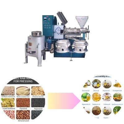 China Groundnut Mustard Oil Press Machine for Cold Pressing Pure and Natural Essential Oils for sale