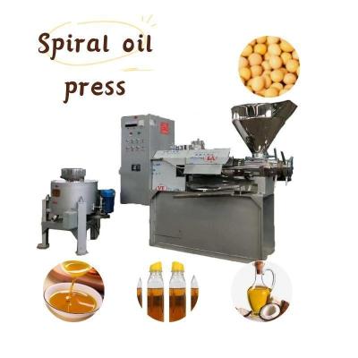 China 304 Stainless Steel Spiral Sesame Oil Extraction Machine for High Purity Oil Production for sale