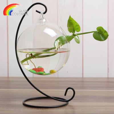 China Sustainable Home Deco Plant Cheap Glass Hanging Rack Fish Bowl for sale