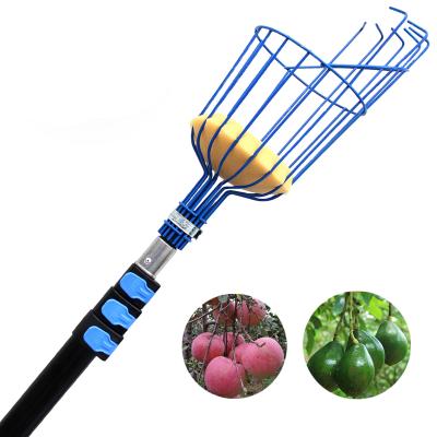 China Garden Fruit Pick Extentool 2021 Telescopic Pole Garden Tool Fruit Harvester With Telescopic Pole Handle for sale