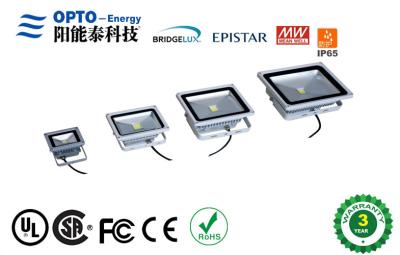 China Los accesorios de luces exteriores comerciales de inundación 30W con MeanWell llevaron el conductor/Epistar Bridgelux en venta