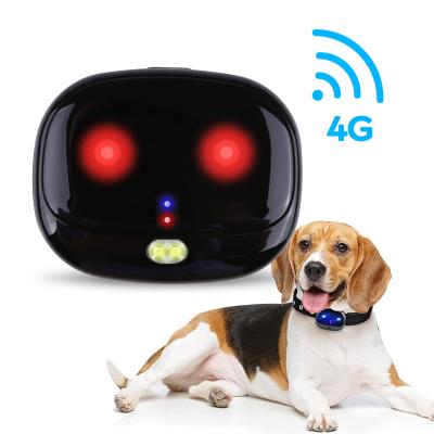 China Waterproof Gps Anti-lost Cat Gps Tracker Mini Pet Tracker Pets Smart Mini Gps Pet GPS Tracker 4g Dog Tracker for sale