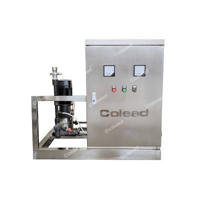 China Flour Mill Hot Sale Ozone Generator For Vegetable Washing for sale