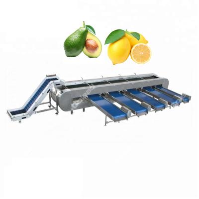 China Lemon Sizing Machine Automatic Size Grading Snacks Plant Fruit Grading Processing Line for sale