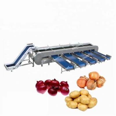 China Vegetable And Fruit Grading Machine High Sorting Efficiency Sorting Machine for sale