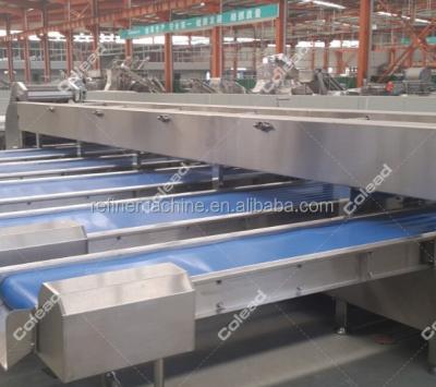 China Snack Factory Commerical Avocado Onion Grading Dimension Sorter for sale