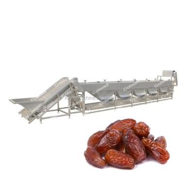 China Snack Factory Palm Dates Sorter For Vegetable And Fruit Sorter for sale