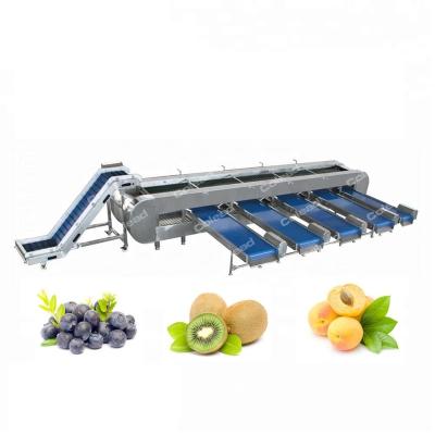 China Snack Factory Vegetable and Fruit Sorter Cherry Tomato Sorter Fruit Grading Machine for sale