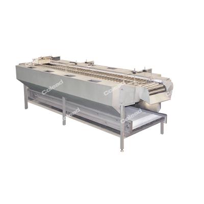 China Hotels Factory Roller Pick Conveyor Potato Picking Table for sale