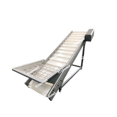 China Hotels Belt Conveyor For Fruit Vegetable Incline Lifting Conveyor for sale