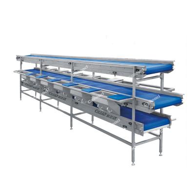 China High Efficiency 3 Layer Food Grade Conveyor With Station for sale