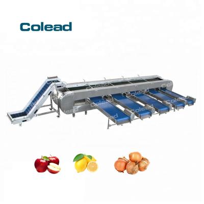 China Automatic Snack Factory Dates Grading Sorter Dates Processing Machinery Small Date Size Grader And Sorter Equipment for sale