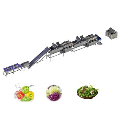 China Fruit Vegetable Processing Automatic Vegetable Processing Line Cutting Machine Vegetable Salad Cleaning Washing And Dewatering Machine for sale