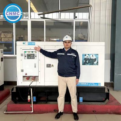 China 60hz Drei-Phasen-CUMMINS Offener und leerer 200kw 250kva Dieselgenerator von CNMC zu verkaufen