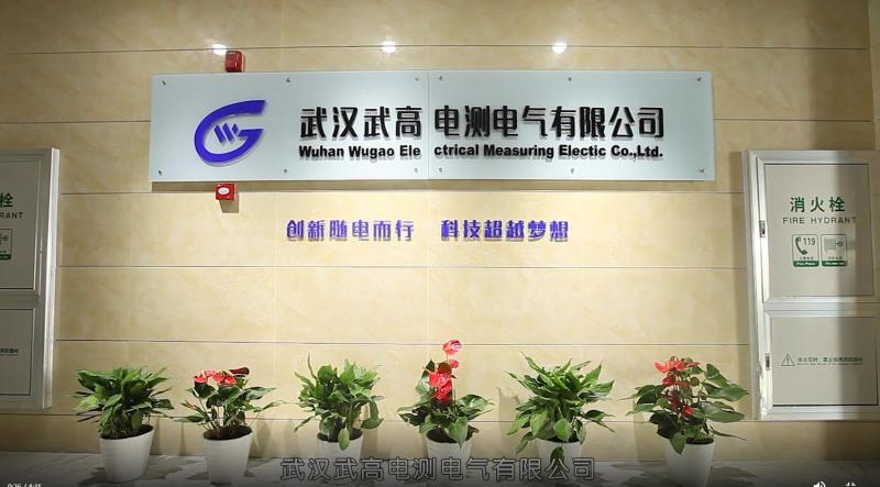 Verified China supplier - Wuhan Wugao Electric Measurement Co., Ltd