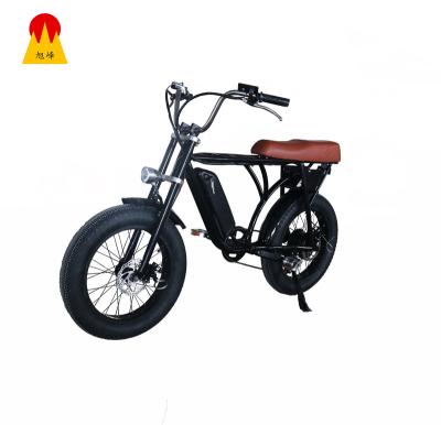 China Aluminum Cheap Price Long Range 2 Sets Batteries Electric Bicycle With Charging for sale