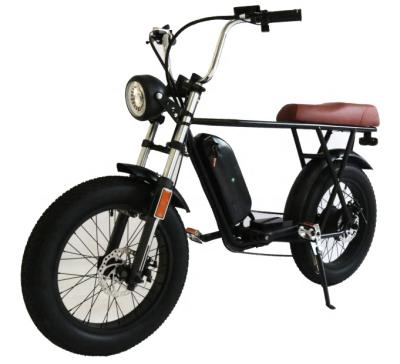 China 2021 Hot Selling High Performance 750W Big Power Steel Motor Electric Bicycle for sale