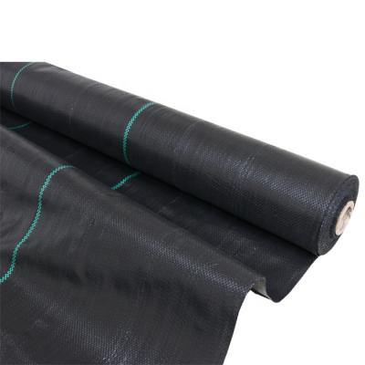 China Anti-grass Pro Garden Black Biodegradable Polypropylene Weed Barrier Mat Landscape Fabric for sale