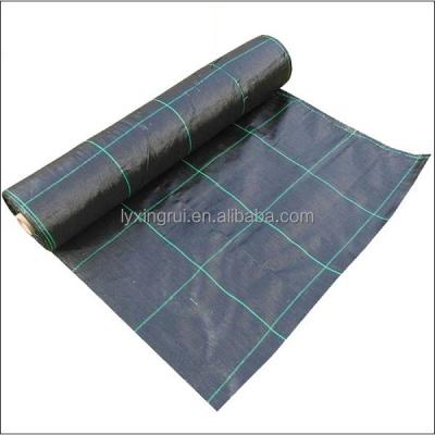 China Feixian Xingrui Polypropylene 100% Polypropylene Weed Barrier Weed Mat Black With Competitive Price for sale