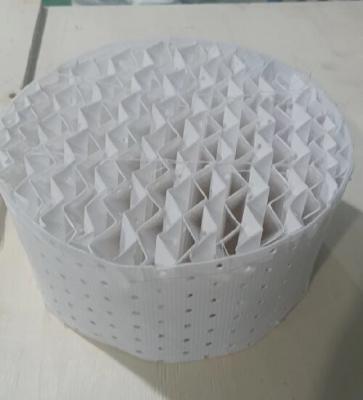 China 100% Virgin PTFE Plastic Perforated Wire Mesh Column Packing 500Y For Refining for sale