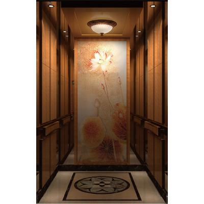 China Automobile Drive 2 Floors Domestic Elevator Residential Elevators for sale