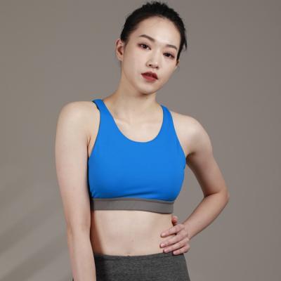 China Good Seller Quality Breathable Cobalf Color Sports Hot Sexy High Print Shockproof Bra for sale