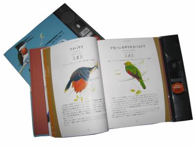 China kundenspezifischer Offsetdruck-Service-der gebundenen Ausgabe des Buch-200pp Zeitschriften-Katalog Matte Lamination zu verkaufen