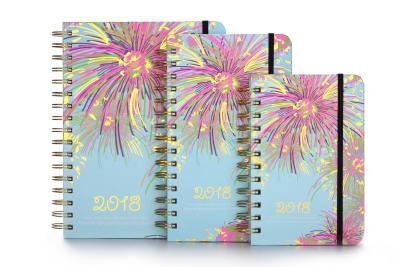 China atascamiento espiral 148x210m m de Planner Book Hardcover del organizador 100gsm en venta